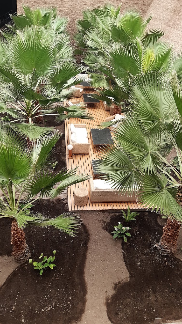 A view of a nice lounge with palm trees at
																	the ESO headquarters